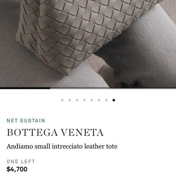 Bottega Veneta Gray Woven Tote with Gold Accent - Picture 5 of 5